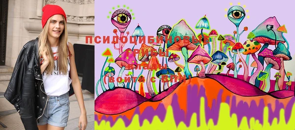 ешки Алексеевка