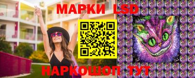 стаф Волгодонск
