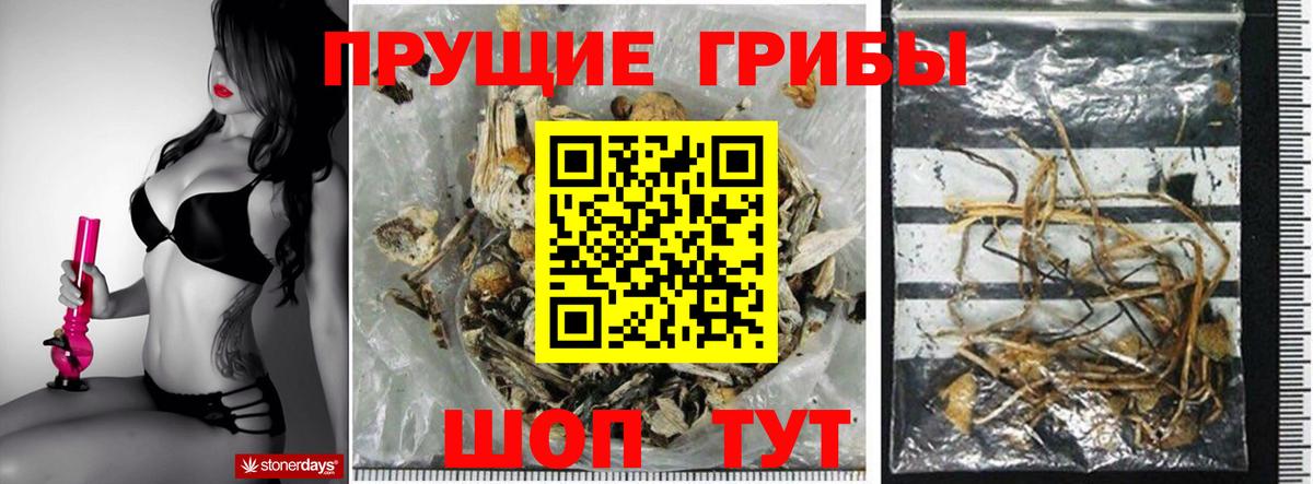 Псилоцибиновые грибы MAGIC MUSHROOMS  Вход с VPN  Глазов 
