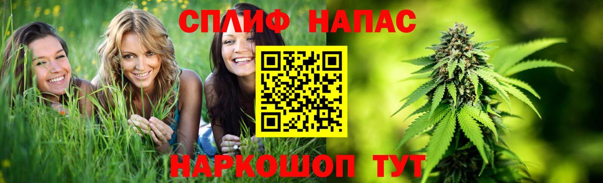 Конопля индика Глазов